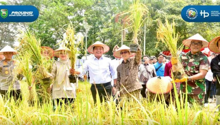 Hadapi Tantangan Pangan, Sumsel Alihkan Fokus dari Cetak Sawah ke Intensifikasi