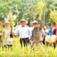 Hadapi Tantangan Pangan, Sumsel Alihkan Fokus dari Cetak Sawah ke Intensifikasi