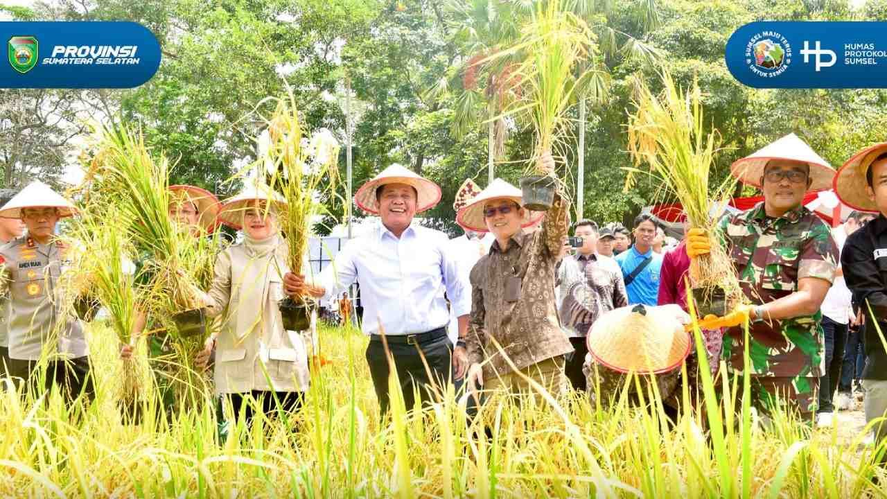 Hadapi Tantangan Pangan, Sumsel Alihkan Fokus dari Cetak Sawah ke Intensifikasi