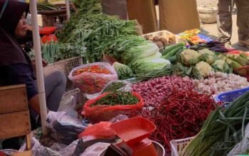 Harga Pangan Sumsel Kontradiktif: Cabai Merah Besar Turun 6%, 10 Bahan Pokok Lain Justru Naik