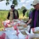 Jaminan Harga Stabil, Bulog Sumsel Serap Gabah Petani Hingga Akhir Tahun