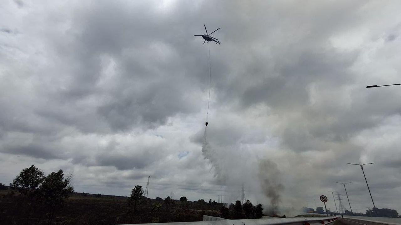 Karhutla di Tol Palembang-Indralaya Padam, Luas Lahan yang Terbakar Capai 200 Hektare