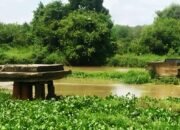 Proyek Penahan Eceng Gondok di Sungai Komering Membusuk, Menjadi Saksi Bisu Pemborosan Dana Publik