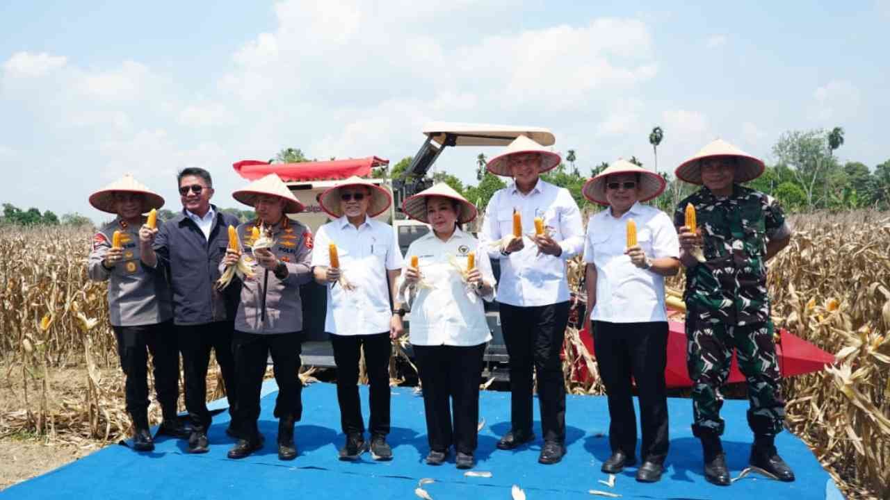 Panen Raya Jagung, Bukti Sinergi Sumsel Dukung Swasembada Pangan Nasional