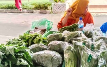 Pemprov Sumsel Buka Pasar Tani, Bantu Petani Pasarkan Produk Pertanian