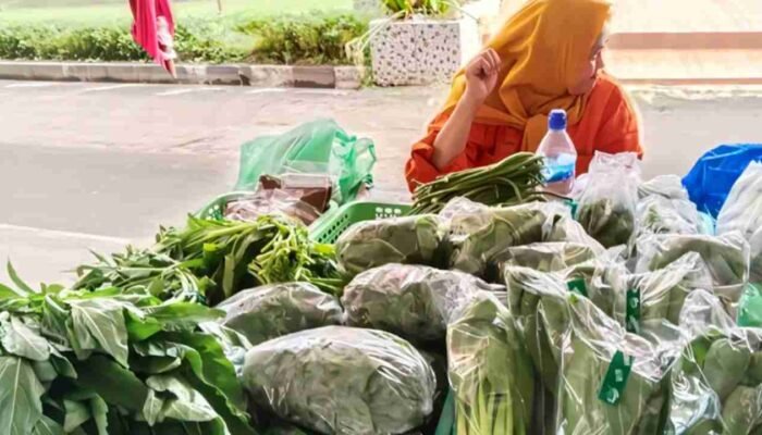 Pemprov Sumsel Buka Pasar Tani, Bantu Petani Pasarkan Produk Pertanian