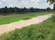 Penderitaan Tanpa Akhir di Bawah Naungan Proyek yang Hilang