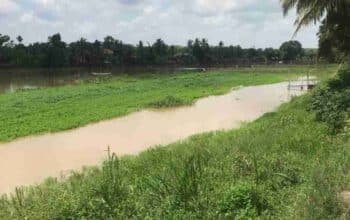 Penderitaan Tanpa Akhir di Bawah Naungan Proyek yang Hilang