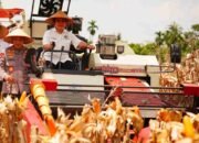 Polri Kawal Swasembada Pangan, Kapolri Listyo Sigit Pastikan Jagung Petani Diserap Bulog