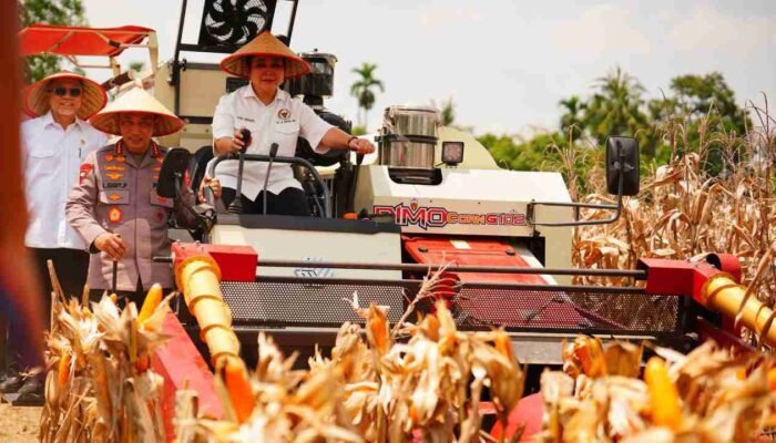 Polri Kawal Swasembada Pangan, Kapolri Listyo Sigit Pastikan Jagung Petani Diserap Bulog