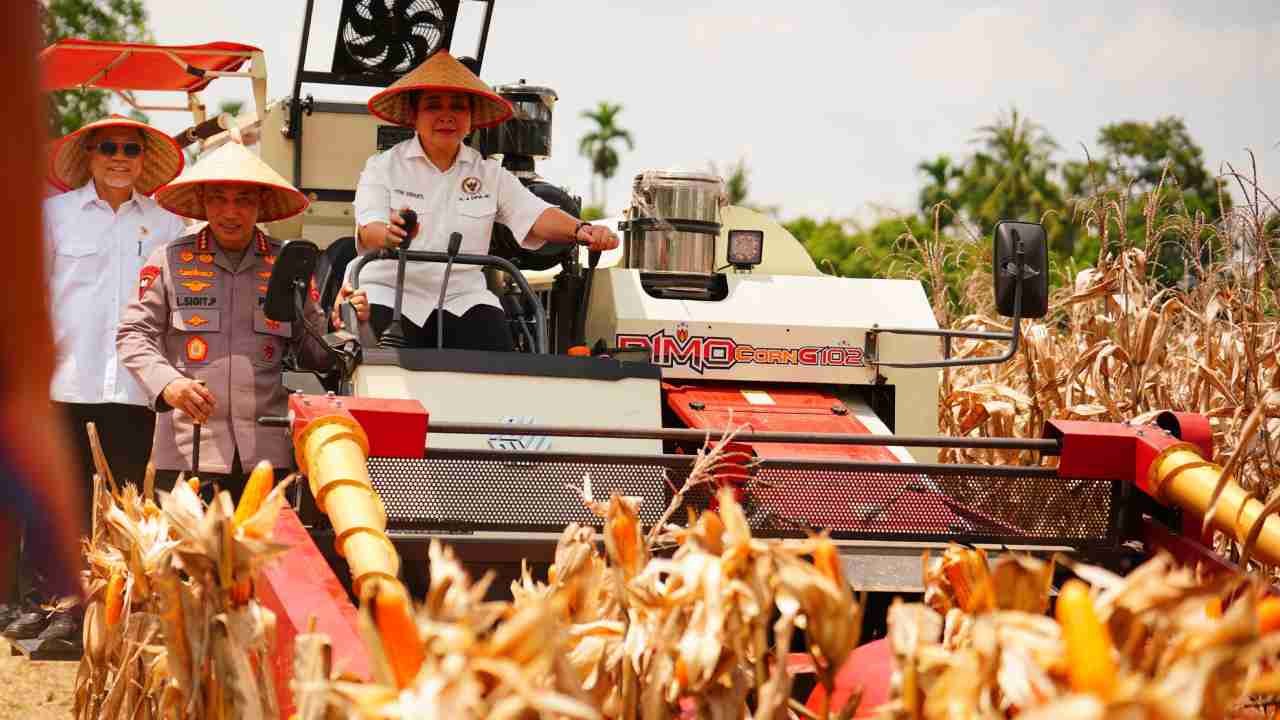 Polri Kawal Swasembada Pangan, Kapolri Listyo Sigit Pastikan Jagung Petani Diserap Bulog