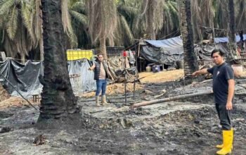 Sumur Minyak Ilegal Kembali Terbakar di Muba, Polisi Buru Pemilik di Tengah Ancaman Berulang