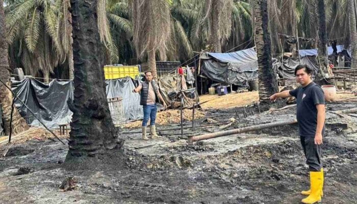 Sumur Minyak Ilegal Kembali Terbakar di Muba, Polisi Buru Pemilik di Tengah Ancaman Berulang