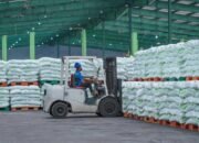 Bukan Sekadar Turun Harga, Pusri Ungkap Efisiensi Pupuk Bersubsidi untuk Dorong Produktivitas Tani