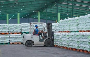 Bukan Sekadar Turun Harga, Pusri Ungkap Efisiensi Pupuk Bersubsidi untuk Dorong Produktivitas Tani