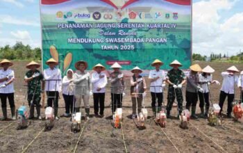 Dukungan Nyata Swasembada Pangan, Pemkab OKI Sukseskan Program Tanam Jagung Serentak Polri