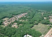 Gerbera di Lumbung Komoditas, Visi SKK Migas Menanam Fondasi Energi Abadi