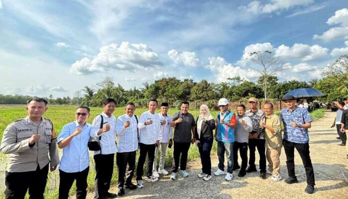 Harapan untuk memangkas biaya dan menggapai panen ketiga datang dari inisiatif Listrik Masuk Sawah