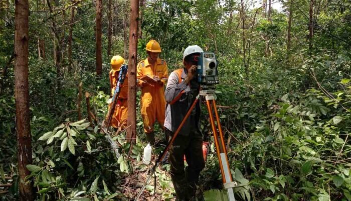 Ilustrasi Surveyor Hutan