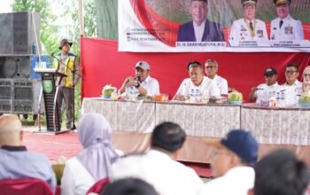 Irigasi Kering, Ancaman Nyata di Lumbung Padi Sumsel: Petani Banyuasin Tuntut Jaminan DPR