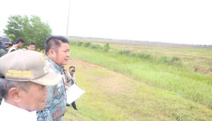 Kontribusi Lumbung Pangan: Analisis Capaian Gabah Pemprov Sumsel dan Target Nasional