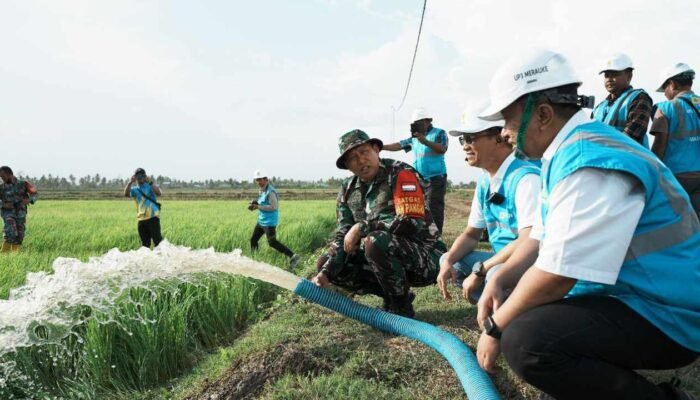 Membongkar Logika Bisnis: Bukti Angka di Balik Efisiensi PLN