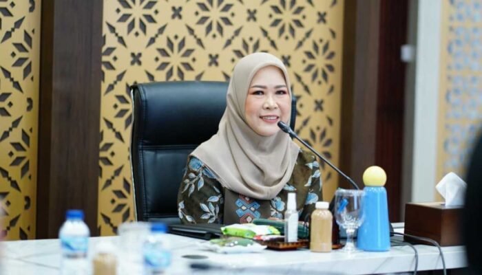 Pengakuan Nasional, Kiprah Feby Deru di Ekonomi Kreatif Hantarkan Sumsel ke DPD Award 2025