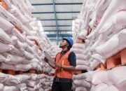 Pupuk Indonesia Siapkan 1,2 Juta Ton Stok Subsidi, Jamin Kedaulatan Pangan Oktober – Maret