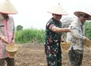 Saat TNI AD Membuka 20 Hektare Sawah Baru di OKI