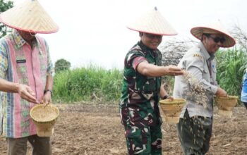 Saat TNI AD Membuka 20 Hektare Sawah Baru di OKI