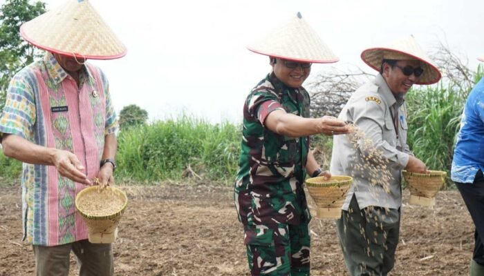 Saat TNI AD Membuka 20 Hektare Sawah Baru di OKI