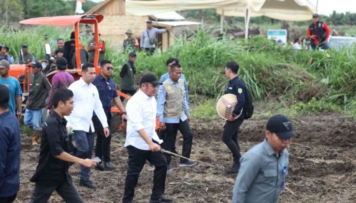 Sukses Cetak dan Olah: Strategi Peningkatan Kinerja Pertanian Pemprov Sumsel