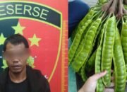 Tembakan Senapan Angin Dipicu Petai, Pelaku Pembunuhan di Muba Dijerat Pasal 338 KUHP