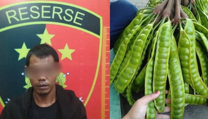 Tembakan Senapan Angin Dipicu Petai, Pelaku Pembunuhan di Muba Dijerat Pasal 338 KUHP