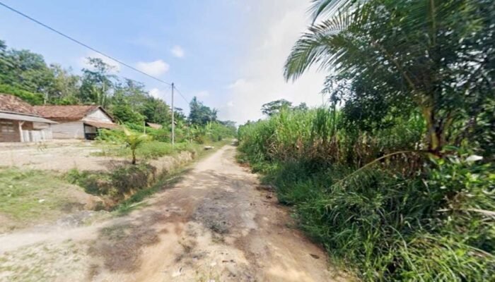 Foto Jalan Tanah/Tebu