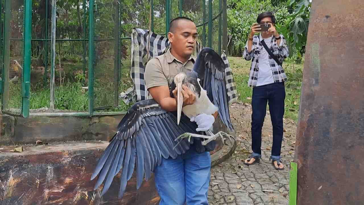 BKSDA Evakuasi Enam Satwa Langka dari Agrowisata Lubuklinggau karena Belum Berizin