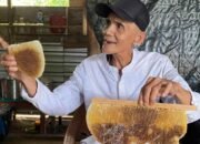 Di Kaki Menara Gas, Kisah Manis Madu Muara Enim dan Nafas Biru Mangrove Sungsang