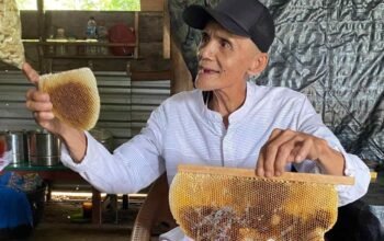 Di Kaki Menara Gas, Kisah Manis Madu Muara Enim dan Nafas Biru Mangrove Sungsang