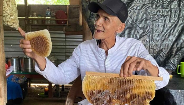 Di Kaki Menara Gas, Kisah Manis Madu Muara Enim dan Nafas Biru Mangrove Sungsang