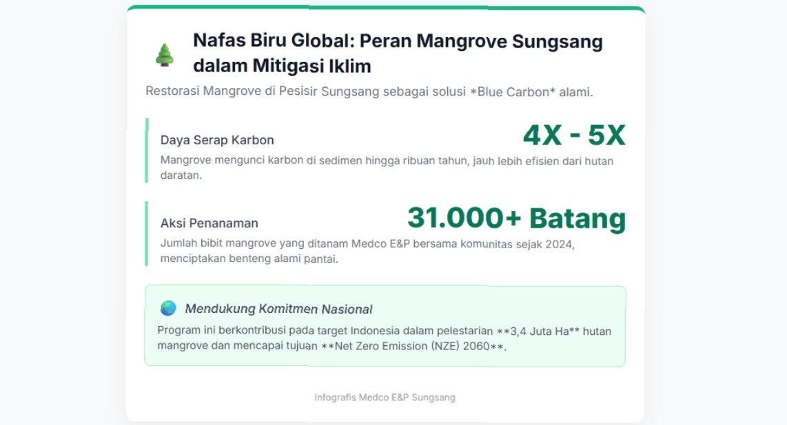 Infografis Mangrove Sungsang