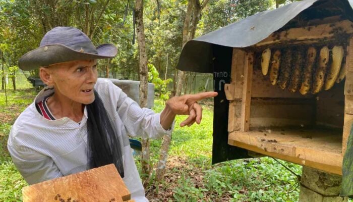 Intervensi Medco: Jembatan Damai dan Kualitas Premium