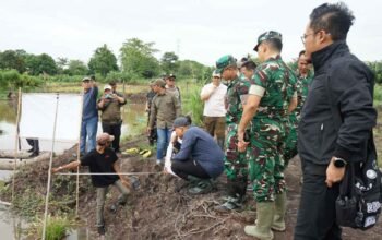 Itjenad Awasi Program Optimasi Lahan TNI AD di OKI, Pastikan Manfaat Berkelanjutan