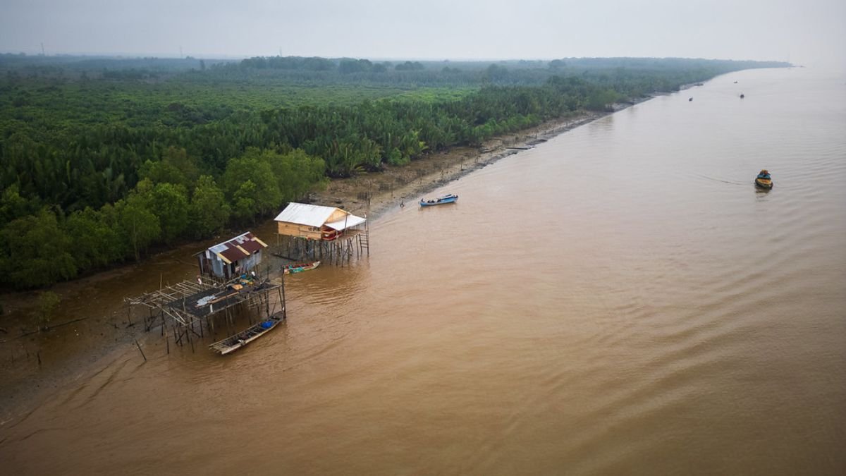 Kawasan Hutan Desa seluas 553 hektare telah terdegradasi parah
