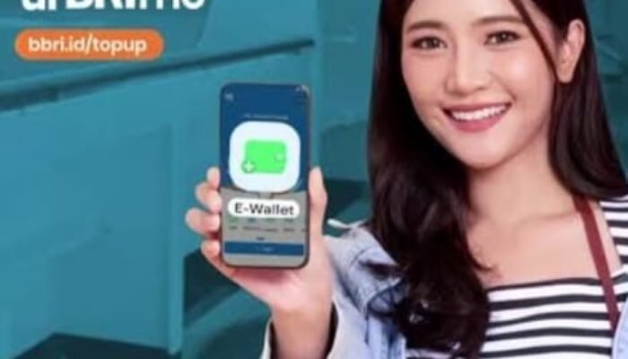 Panduan Praktis: Cara Mudah Isi Saldo E-Wallet Melalui BRImo dan ATM BRI