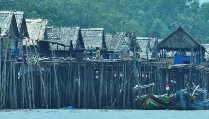 Sungsang: Kerapuhan Pesisir dan Nafas Global