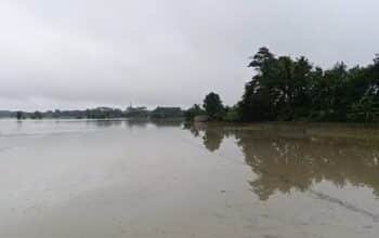 Curah Hujan Tinggi, 1.321 Hektare Sawah di OKI Terancam Gagal Tanam