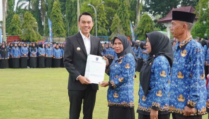 Kepastian Status Ribuan Tenaga Honorer Ogan Komering Ilir di Ujung Masa Bakti