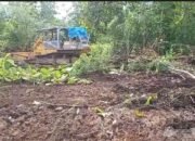 Menanam Harapan Hijau dari Tanah Madiun