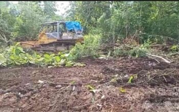 Menanam Harapan Hijau dari Tanah Madiun