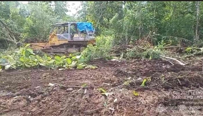 Menanam Harapan Hijau dari Tanah Madiun